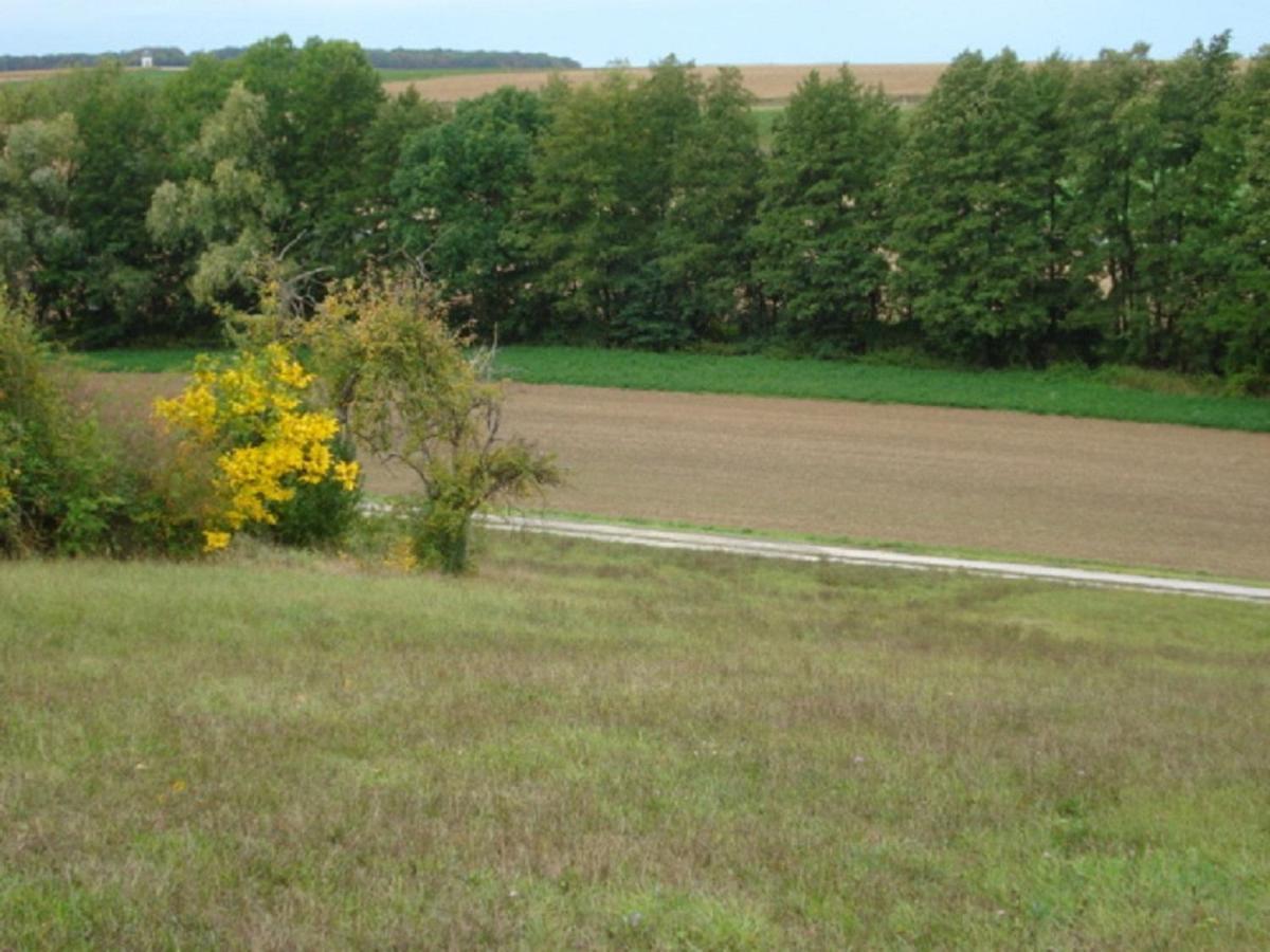 Ferienwohnung Troeppner Kolitzheim 外观 照片